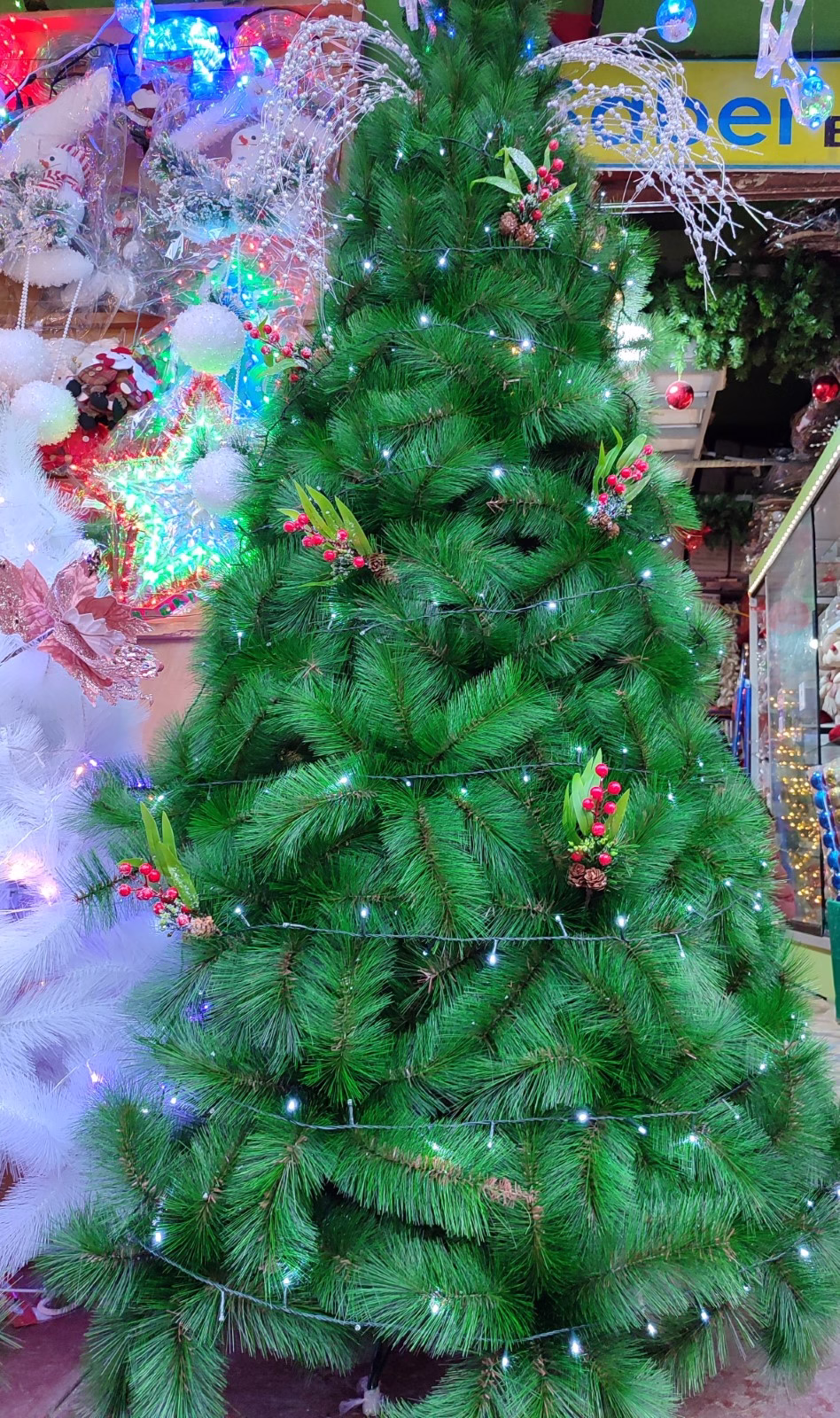 arbol pino super coposo 2.1m