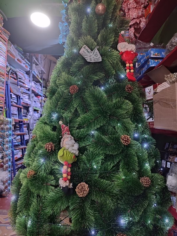 arbol semicoposo hogareño 2.1m 1
