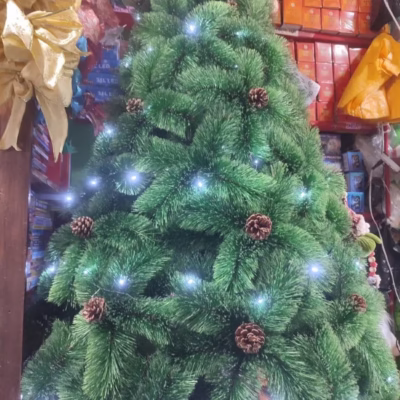 arbol semicoposo hogareño 2.1m