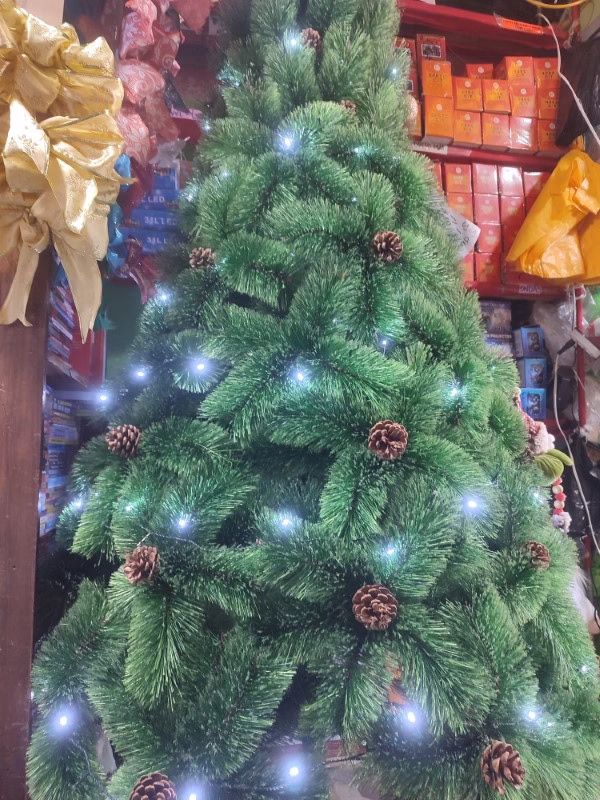 arbol semicoposo hogareño 2.1m