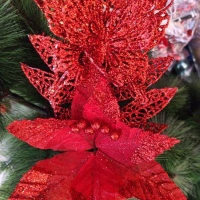 Espiga mariposa escarchado con flor rojo