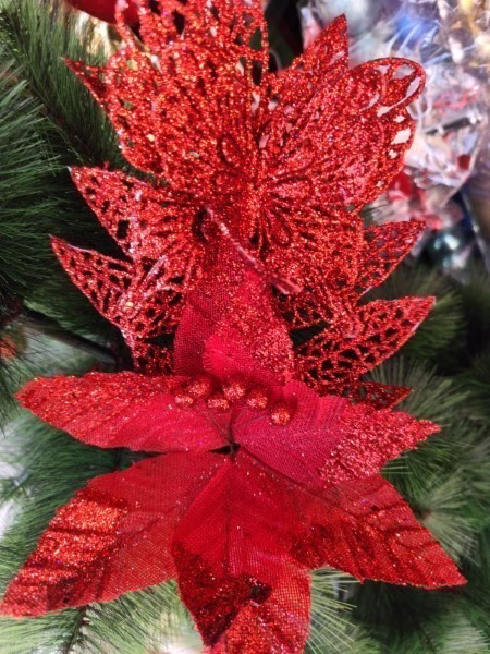 Espiga mariposa escarchado con flor rojo