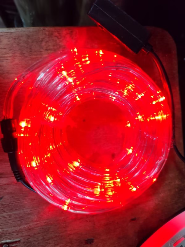 Luces en Manguera 10m rojo